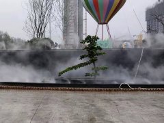 山東單縣元昌香巴拉小區霧森系統
